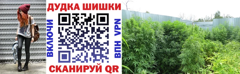 Где купить наркоту Георгиевск Амфетамин Cocaine ГАШИШ Меф мяу мяу МАРИХУАНА Альфа ПВП