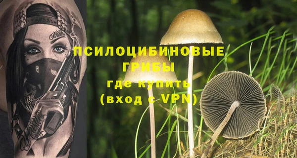 MESCALINE Аркадак