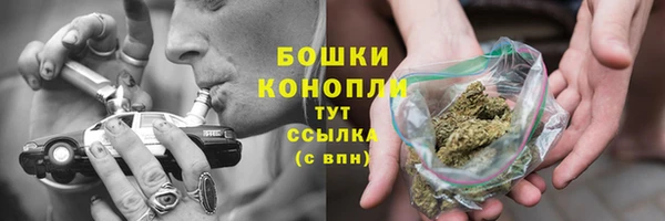 MESCALINE Аркадак