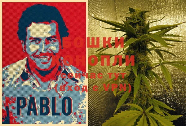 MESCALINE Аркадак