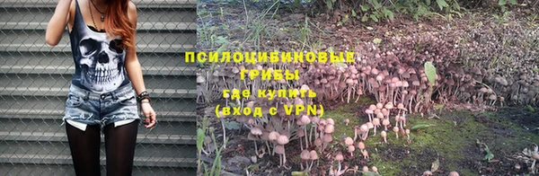 MESCALINE Аркадак