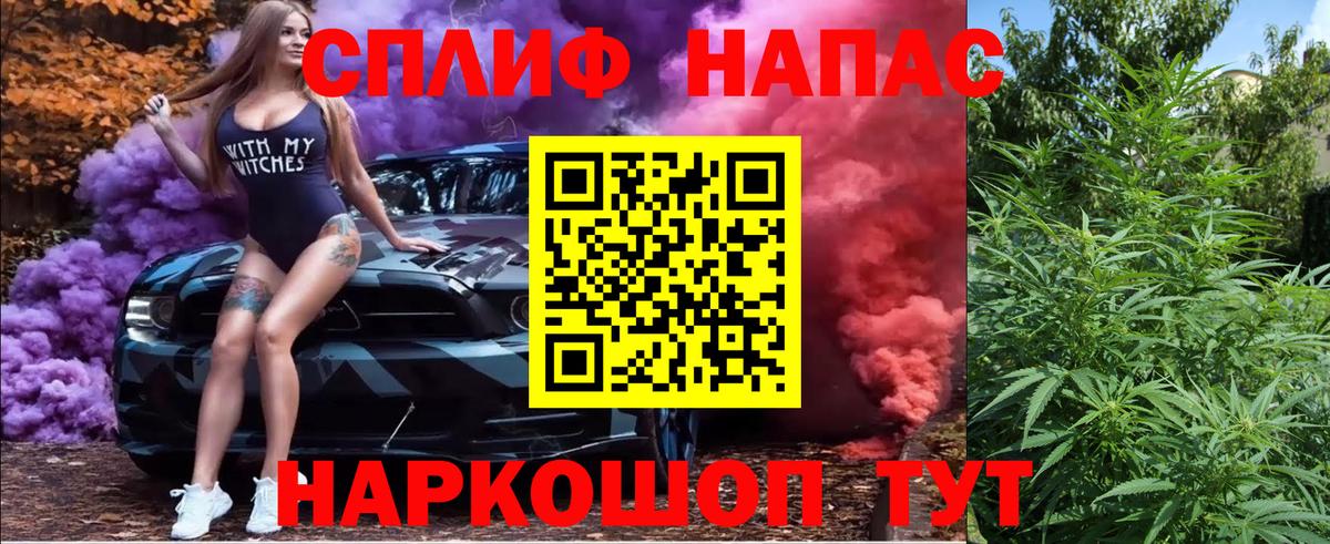 Бошки Шишки план Георгиевск